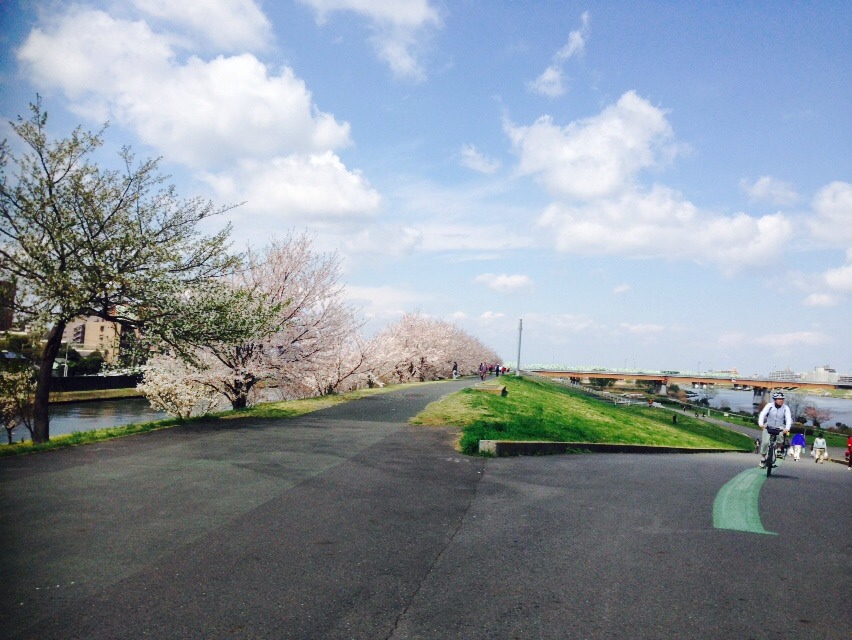 荒川土手 荒川土手