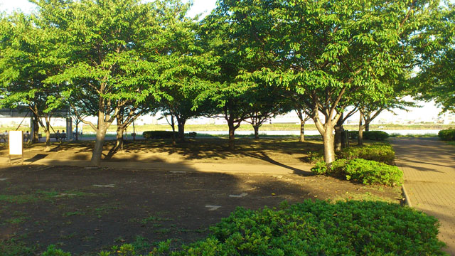 バーベキュー場木陰 バーベキュー場木陰