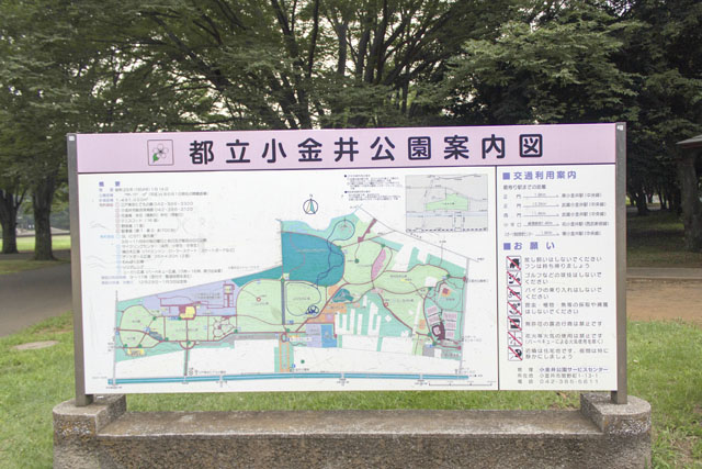 小金井公園案内図 小金井公園案内図