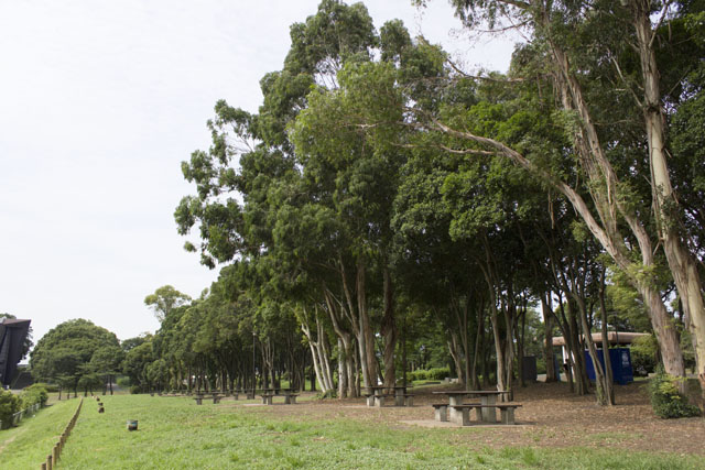 バーベキュー場③ バーベキュー場③