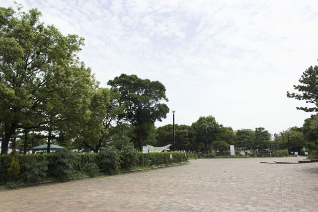 城南島海浜公園内 城南島海浜公園内