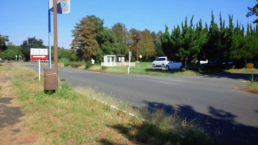 公園内の道路 公園内の道路