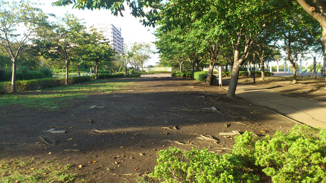 土のバーベキュー区画 土のバーベキュー区画