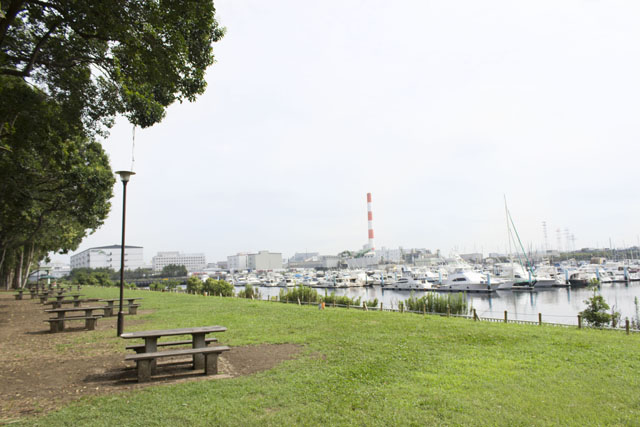 バーベキュー場④ バーベキュー場④