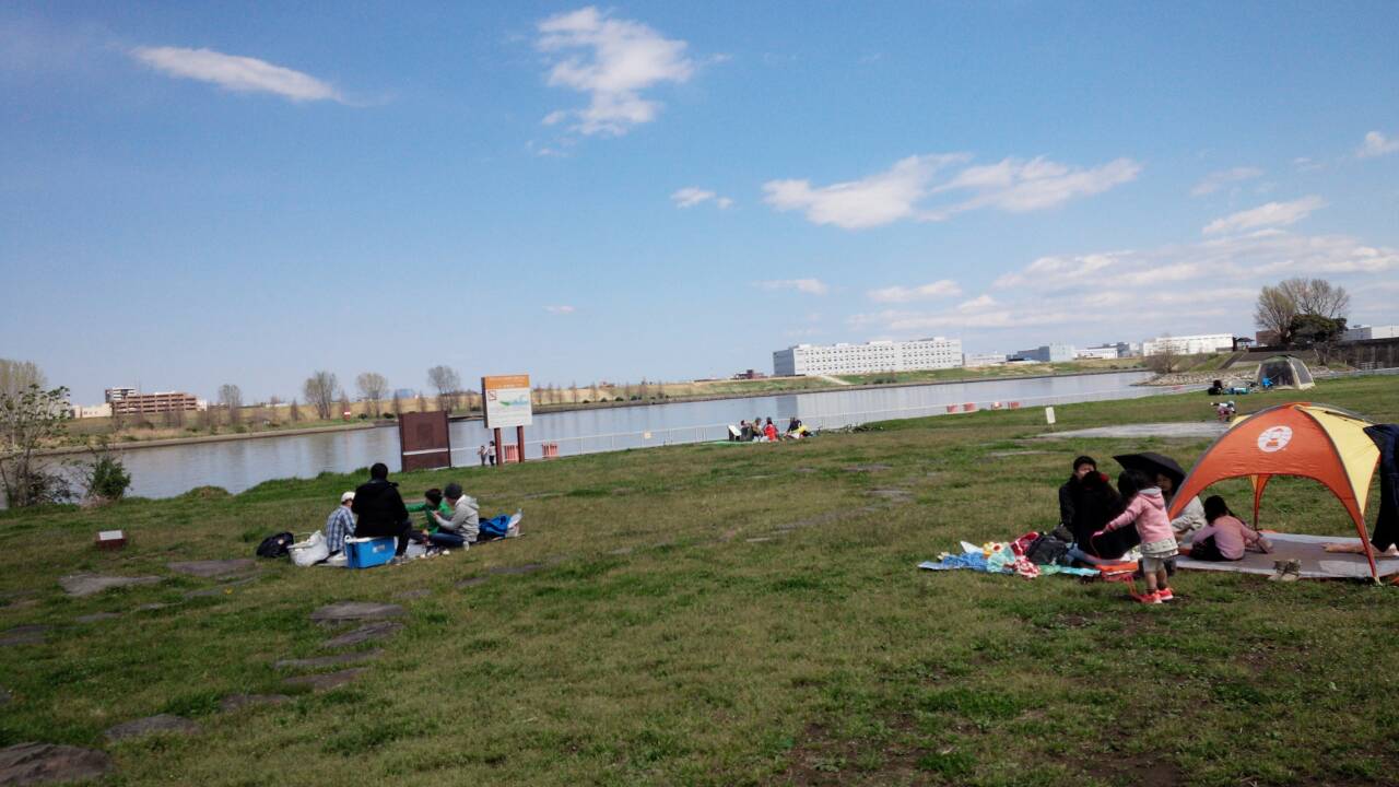 芝生エリア 芝生エリア