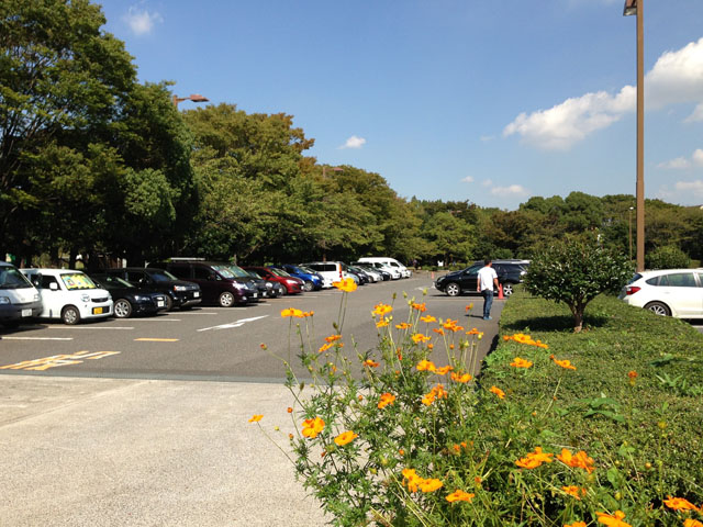 駐車場全体 駐車場全体