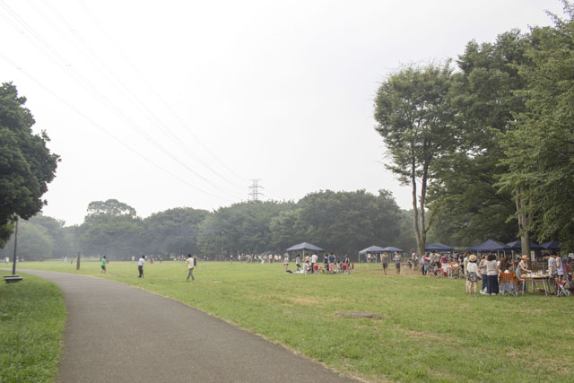 公園内の雰囲気 公園内の雰囲気