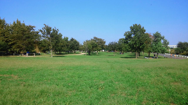 バーベキュー広場 バーベキュー広場