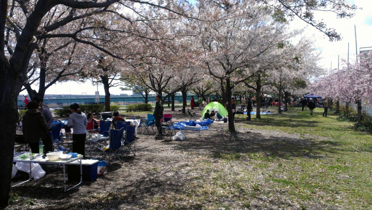 バーベキュー場の桜 バーベキュー場の桜