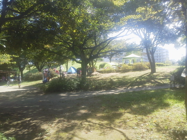 バーベキュー場全体 バーベキュー場全体