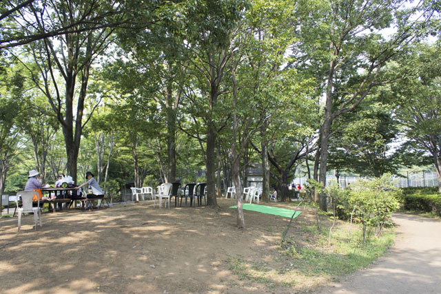 公園内の雰囲気 公園内の雰囲気