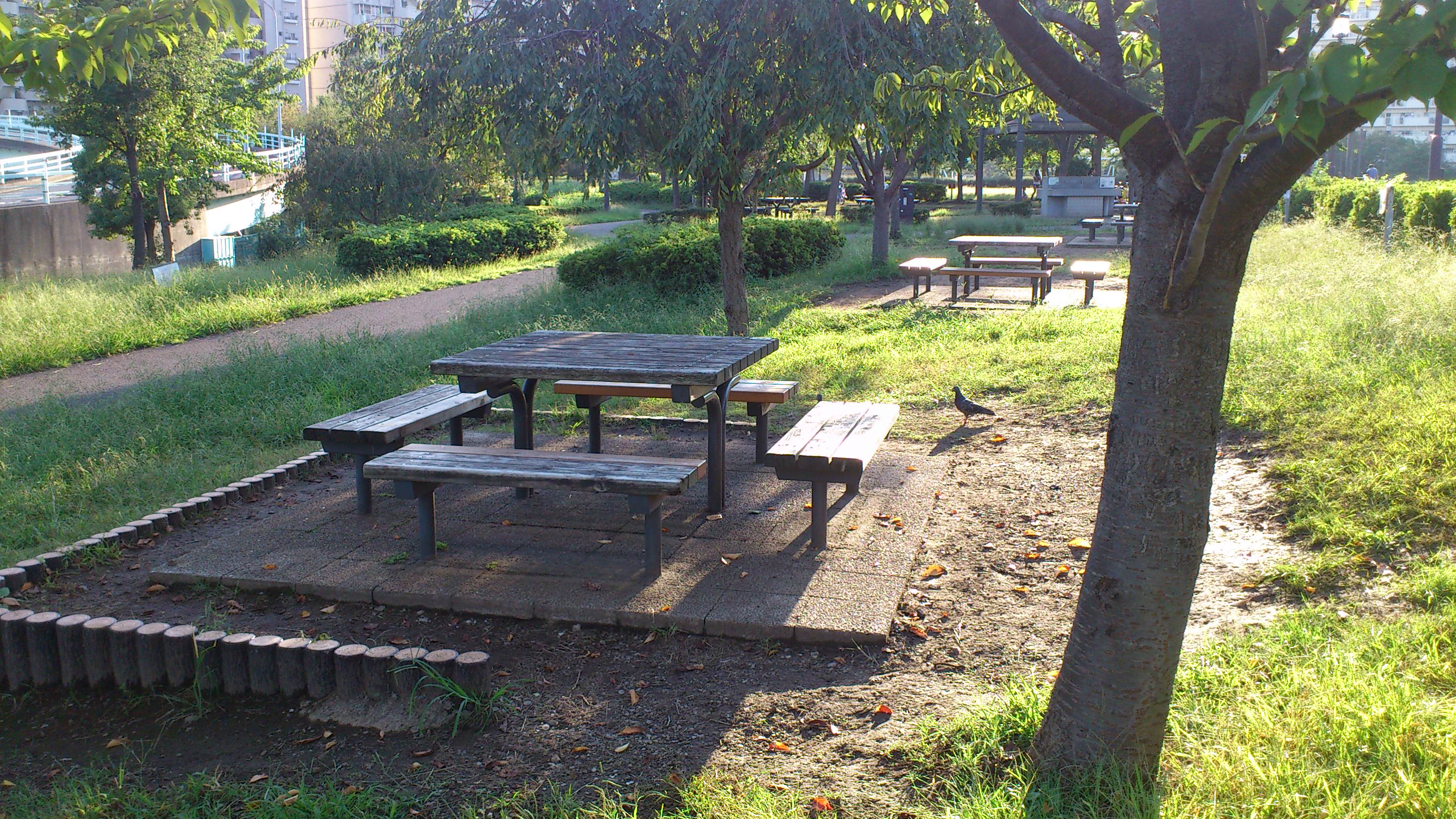 木陰のバーベキュー区画 木陰のバーベキュー区画