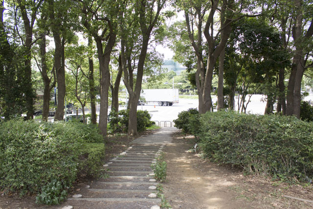 駐車場付近 駐車場付近