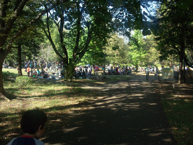 バーベキュー場木陰 バーベキュー場木陰