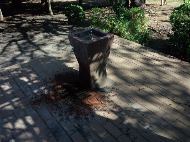 新木場公園 BBQ水場 新木場公園 BBQ水場