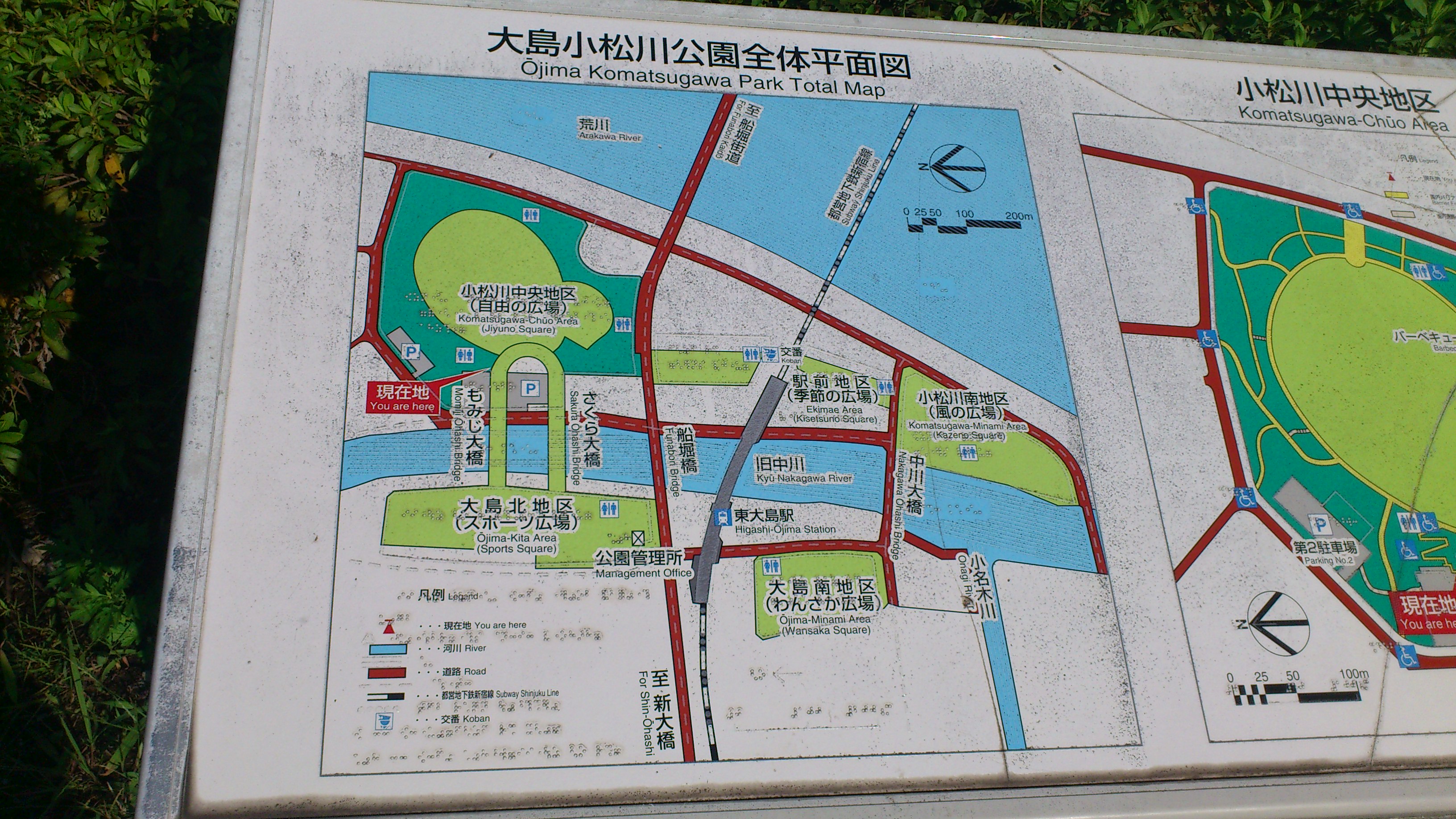 大島小松川公園マップ 大島小松川公園マップ