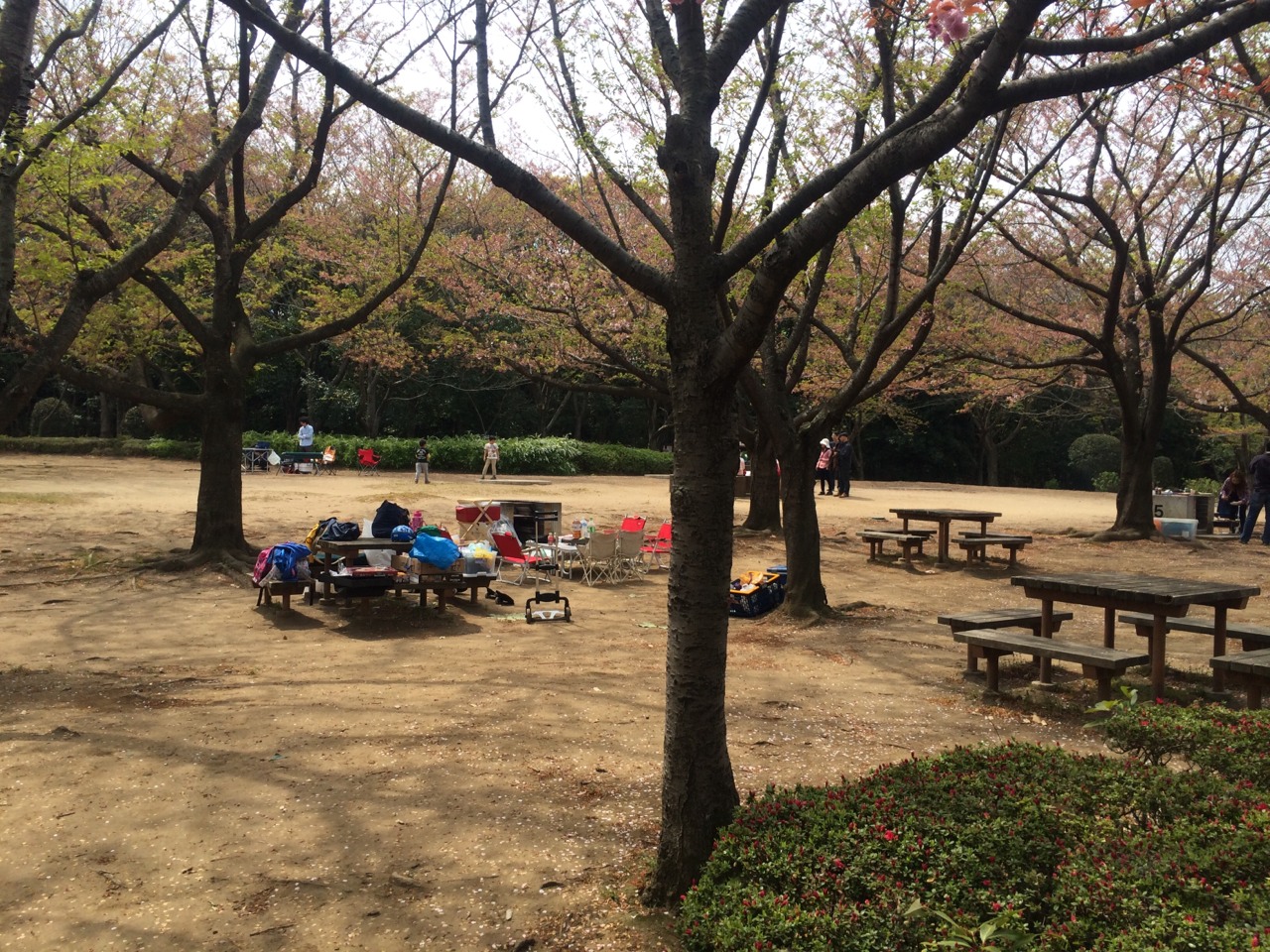 香澄公園１