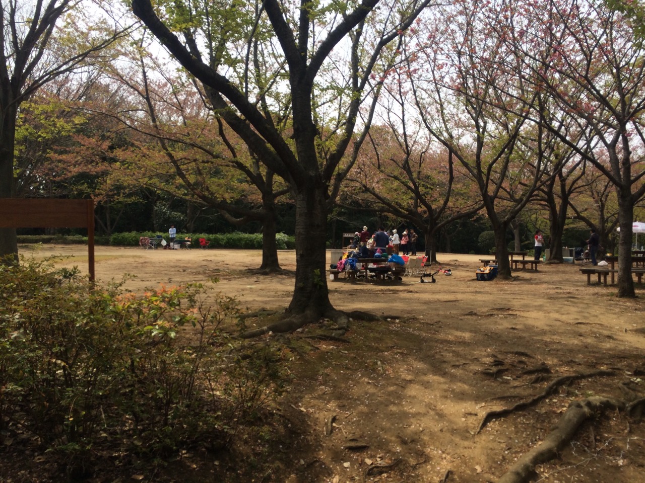 香澄公園2