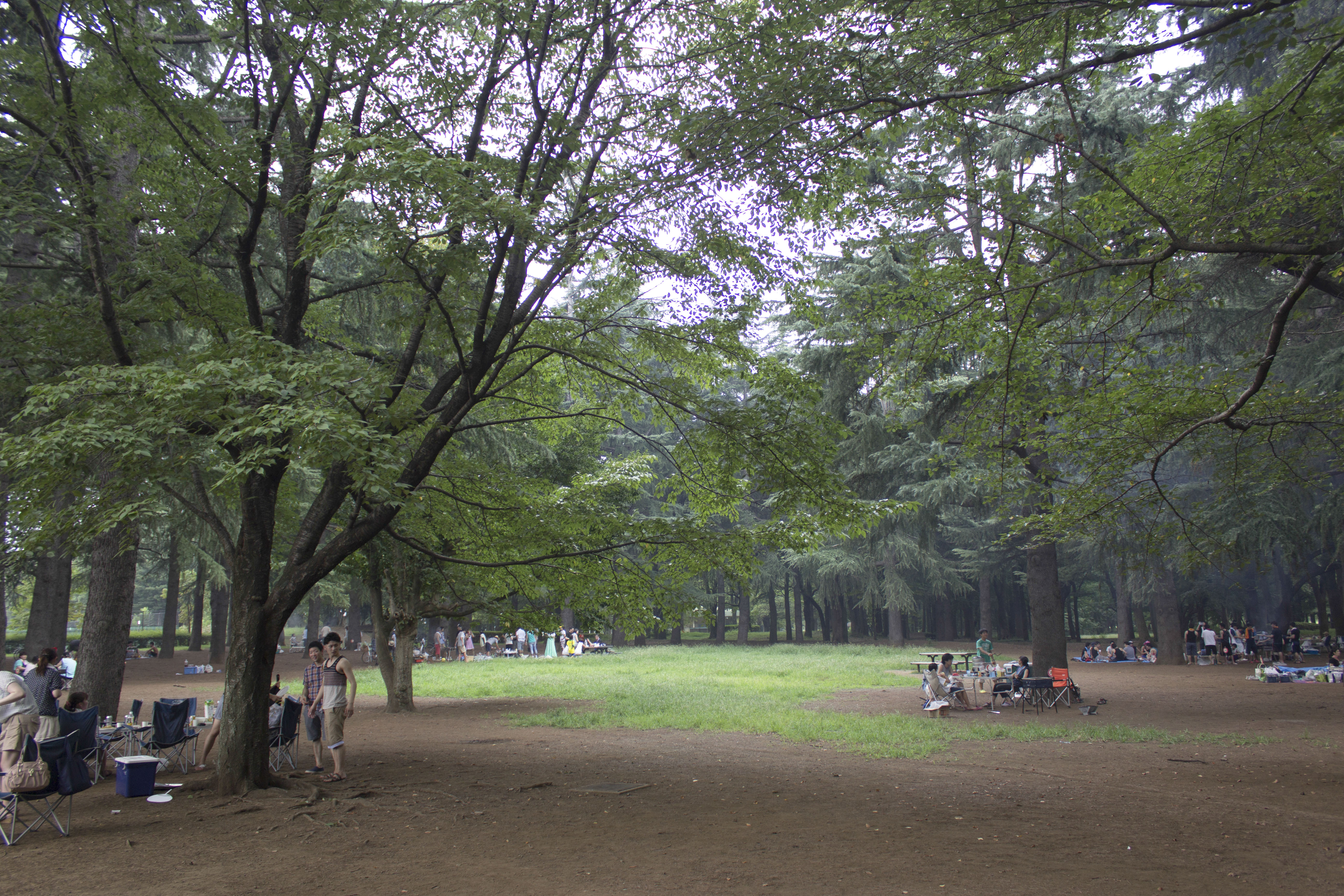 野川公園1